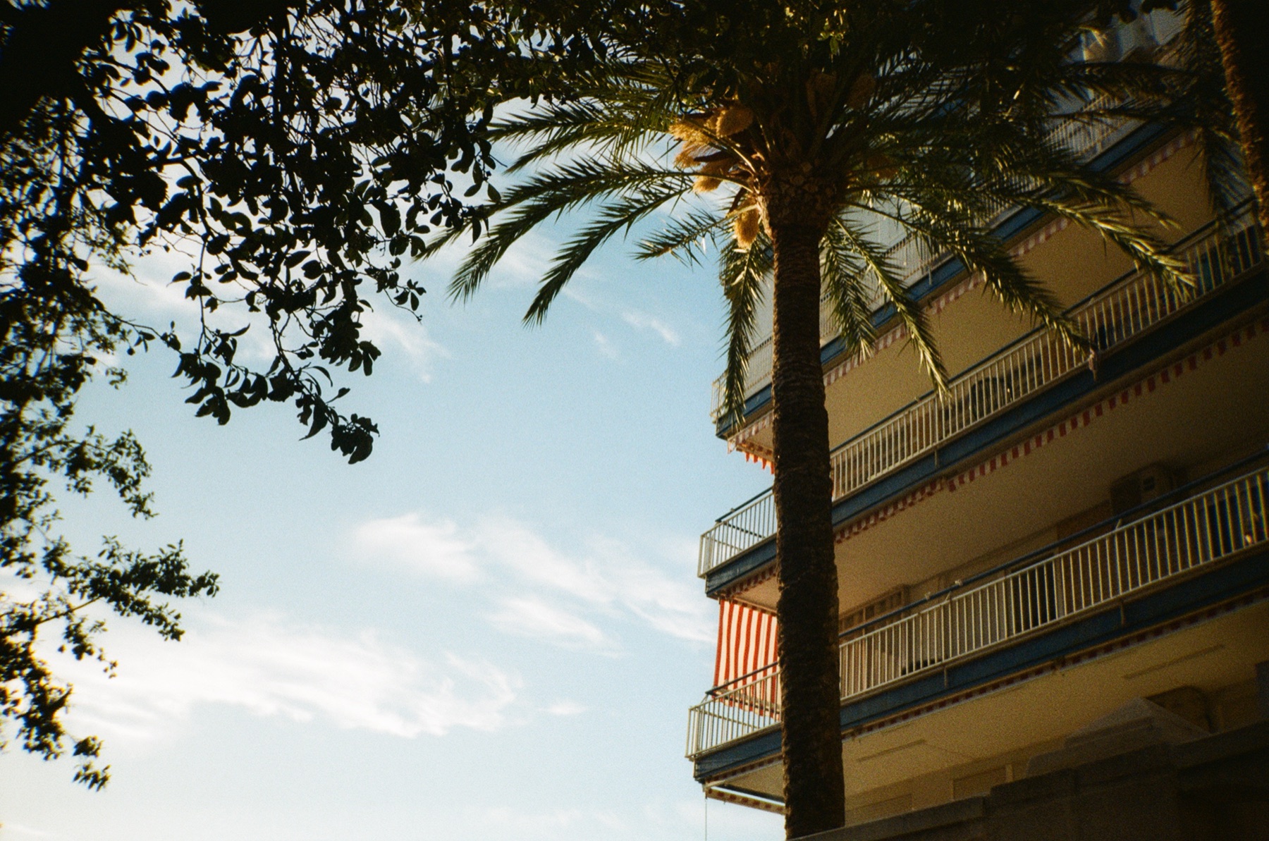 Film photograph 28